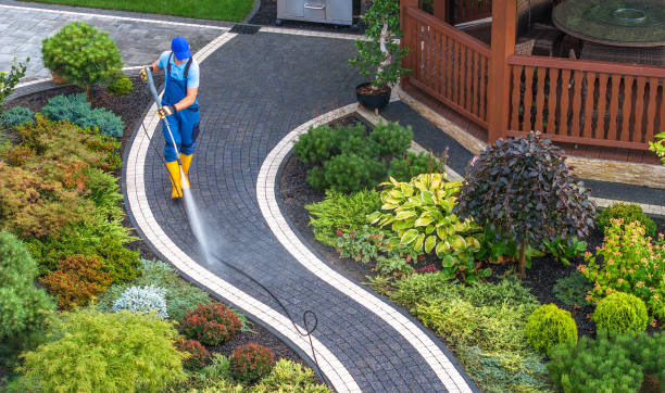 Best Roof Pressure Washing  in Edmonds, WA